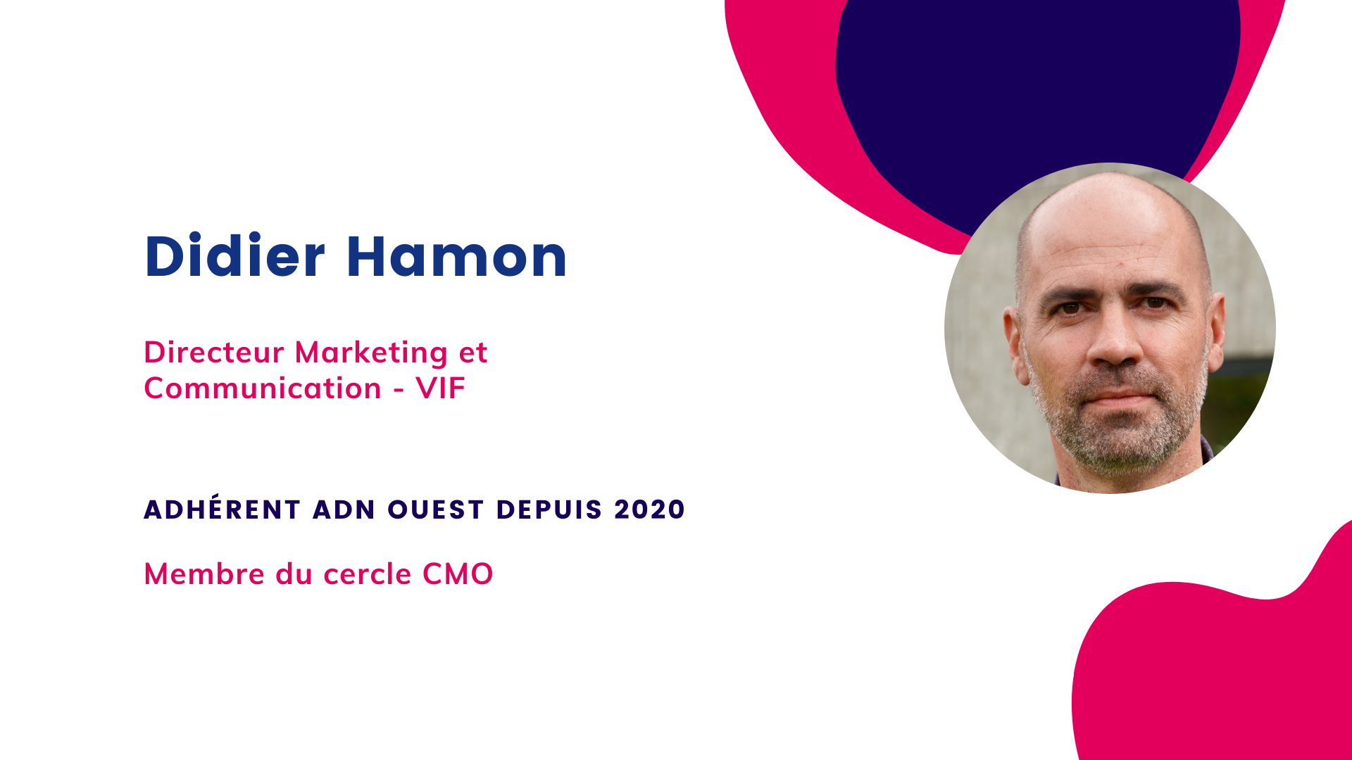 Didier Hamon, VIF