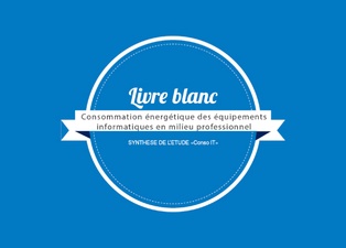 Consommation énergétique des équipements informatiques en milieu professionnel