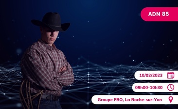 Supports "[Retransmission] Le Numérique Hors la loi (ou pas...)"