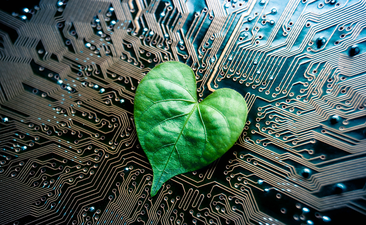 Sobriété numérique : comment développer un projet data éco-responsable ?